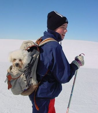 Bilde av en gutt som har med hunden i en ryggsekk på skitur
